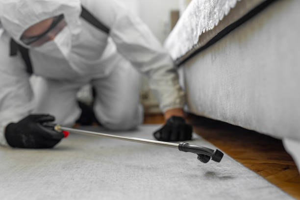 Professional Termite Control technician working in Lake Mohawk, OH