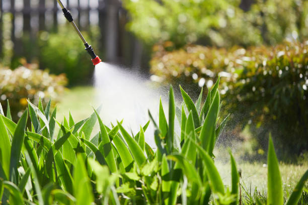 24/7 Emergency Termite Control experts in Lake Mohawk, OH