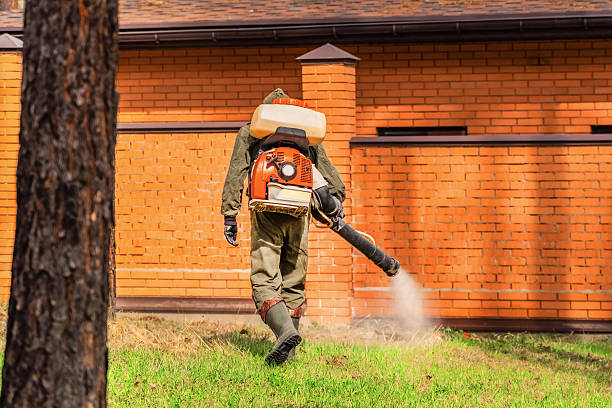 Trusted Bed Bug Control service in Lake Mohawk, OH - Nex Pest Control